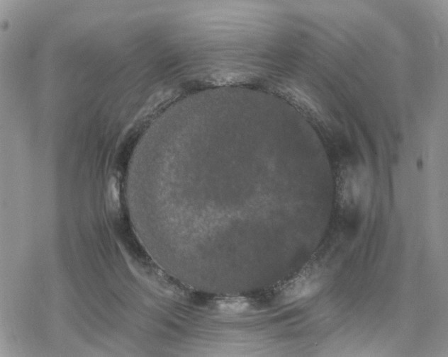 X0000078240214200611171507