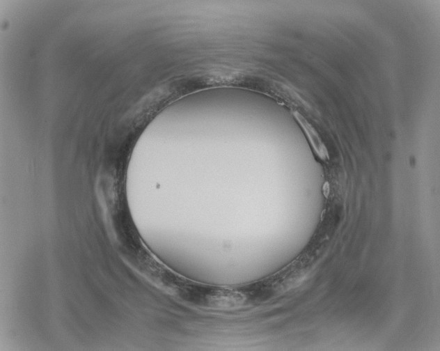 X0000078240215200611171506