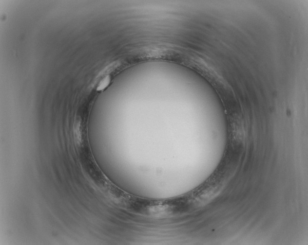 X0000078240216200611171506