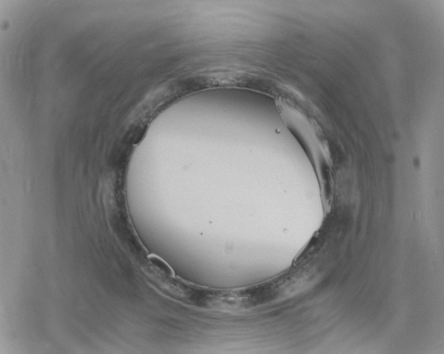 X0000078240217200611171506