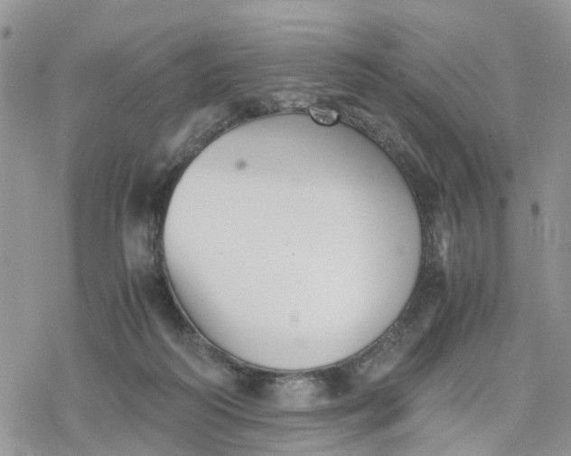 X0000078240218200611171506