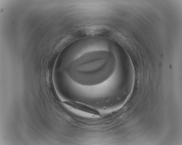 X0000078240219200611171506