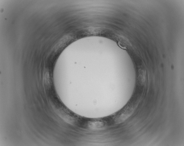 X0000078240220200611171506