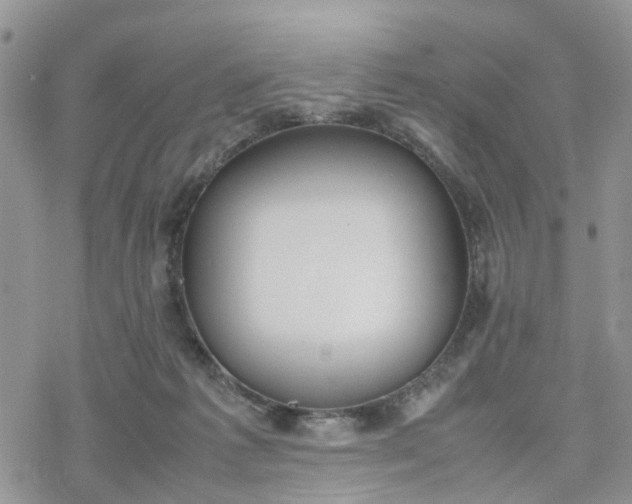 X0000078240221200611171506