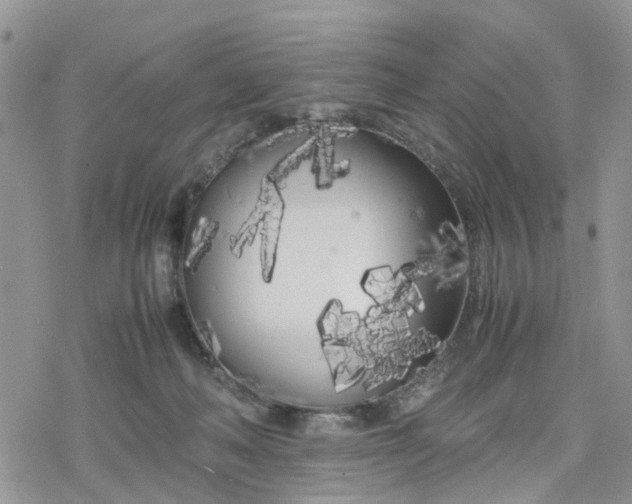 X0000078240222200611171506