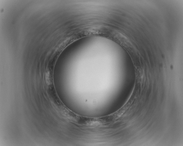 X0000078240224200611171506