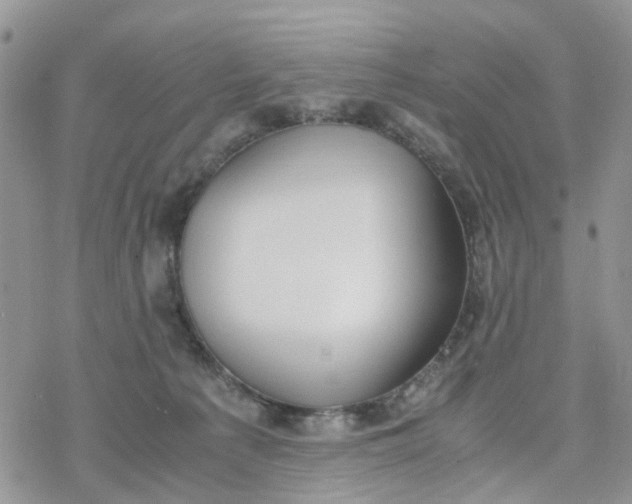 X0000078240225200611171506