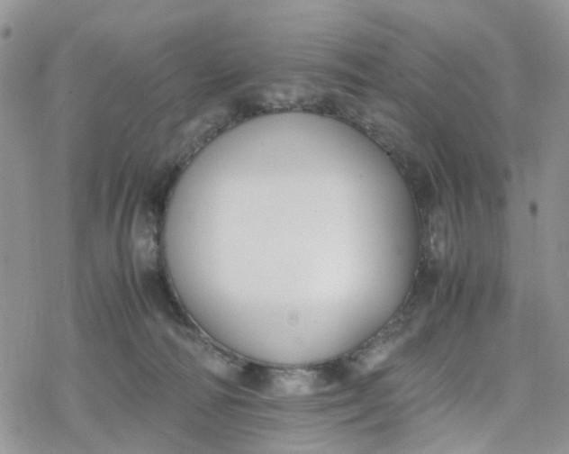 X0000078240226200611171506