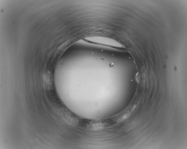 X0000078240228200611171506