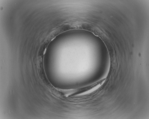 X0000078240229200611171506