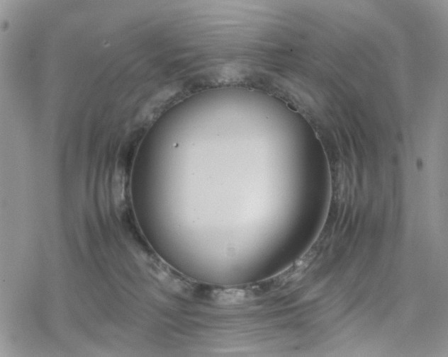 X0000078240230200611171506