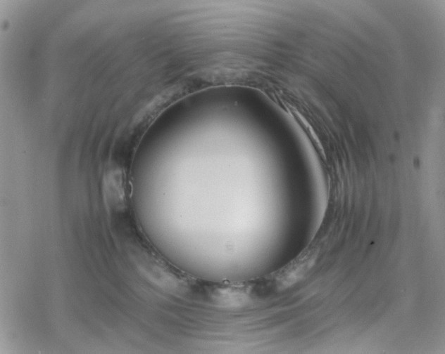 X0000078240232200611171506