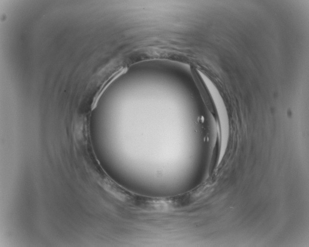 X0000078240233200611171506