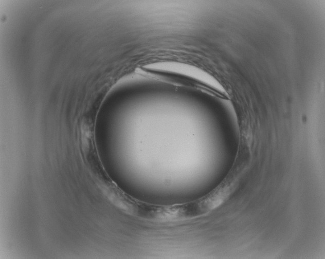 X0000078240235200611171506