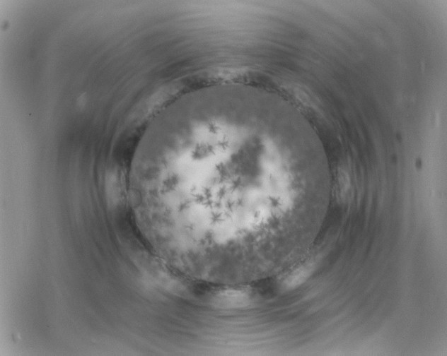 X0000078240236200611171506