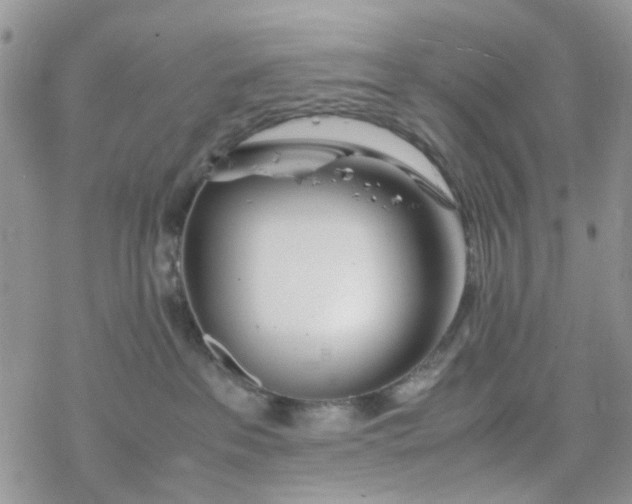 X0000078240237200611171506