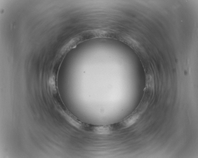 X0000078240238200611171506