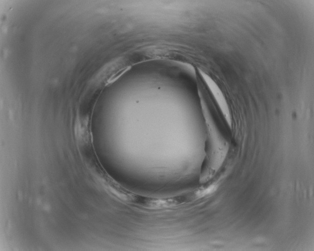 X0000078240239200611171506