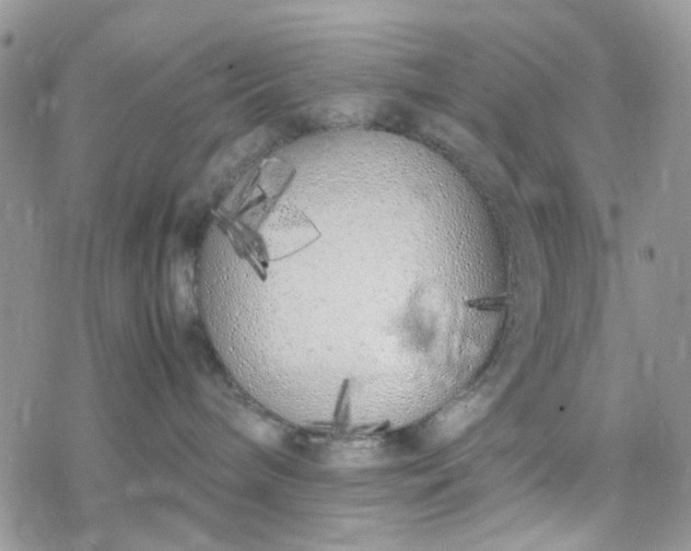 X0000078240240200611171506