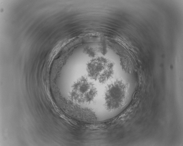 X0000078240241200611171505