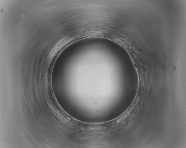 X0000078240242200611171505