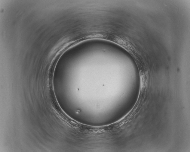 X0000078240243200611171505