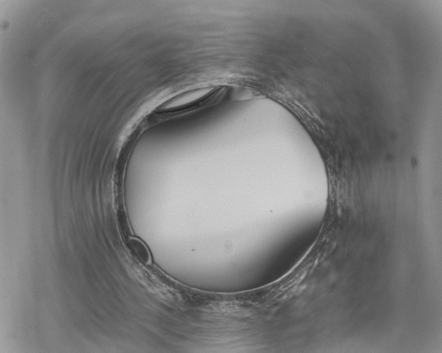 X0000078240244200611171505