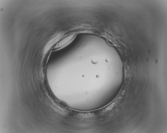 X0000078240245200611171505