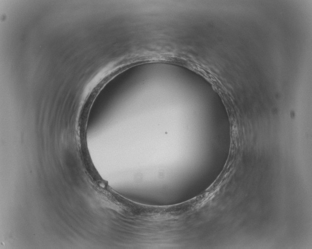 X0000078240246200611171505