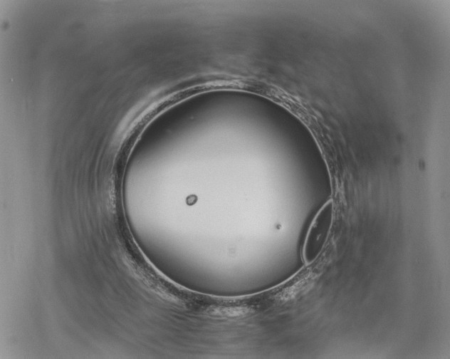 X0000078240247200611171505