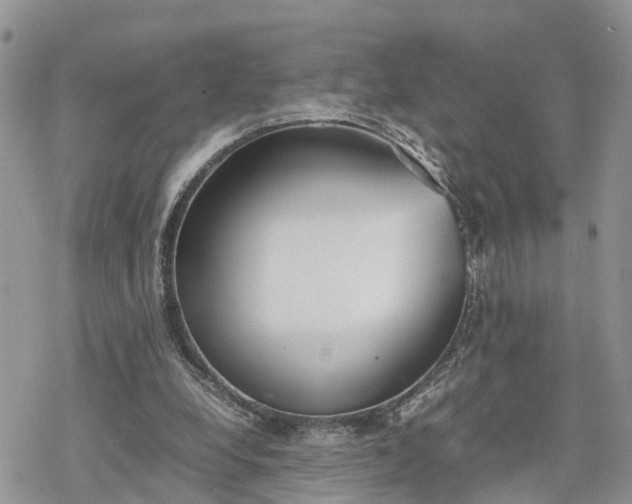 X0000078240248200611171505