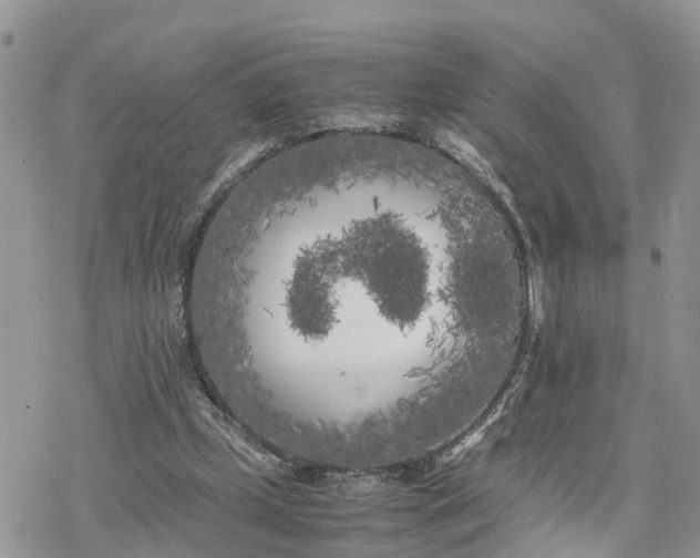 X0000078240249200611171505