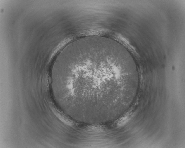 X0000078240250200611171505