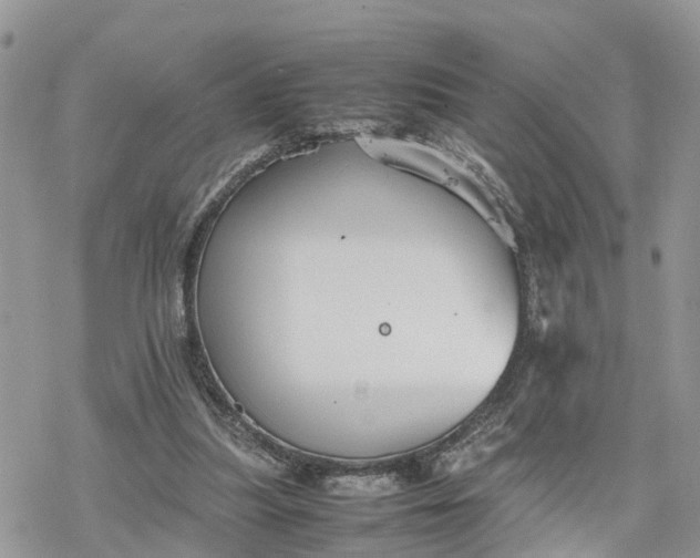 X0000078240251200611171505