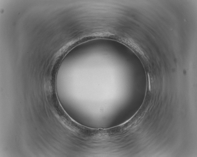 X0000078240252200611171505