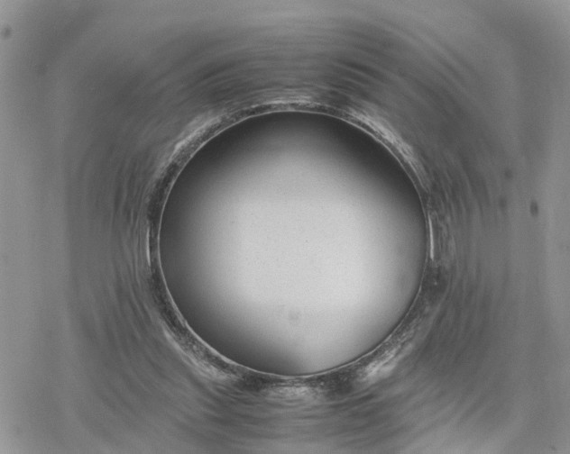 X0000078240253200611171505