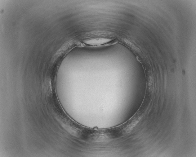 X0000078240254200611171506