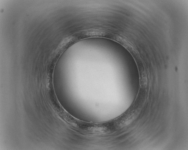 X0000078240255200611171506