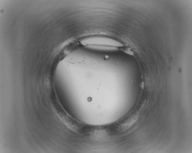 X0000078240256200611171506