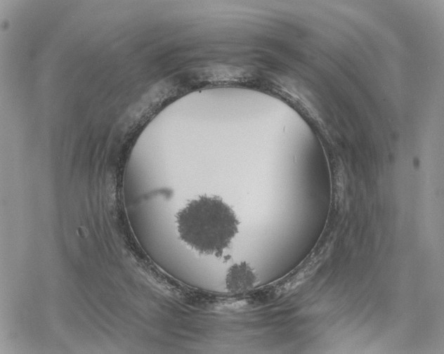 X0000078240257200611171506