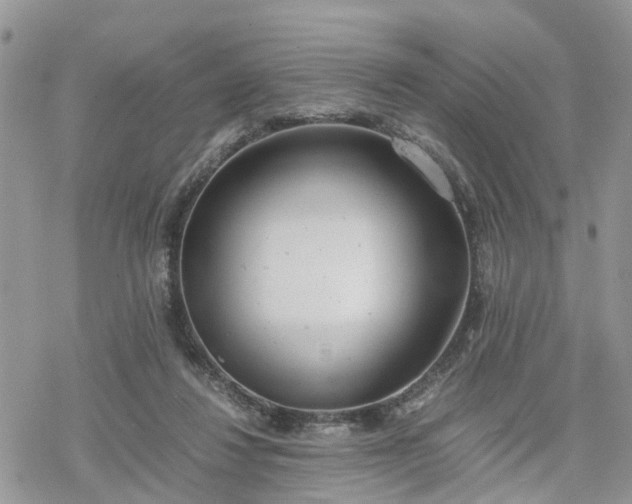 X0000078240260200611171506