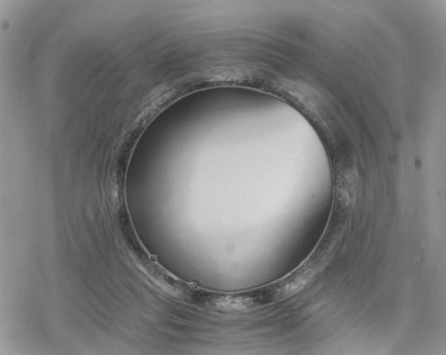 X0000078240261200611171506