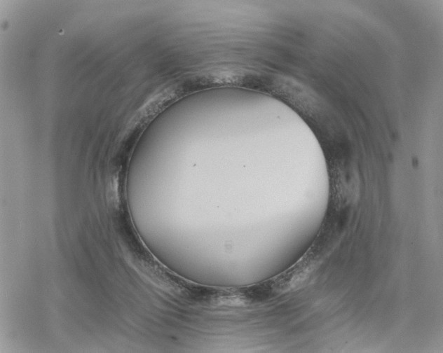 X0000078240262200611171506