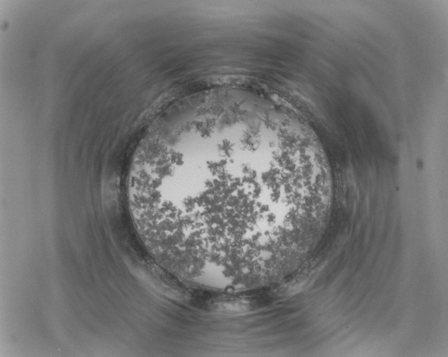 X0000078240263200611171506