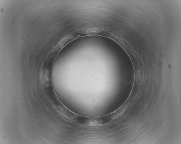 X0000078240264200611171506