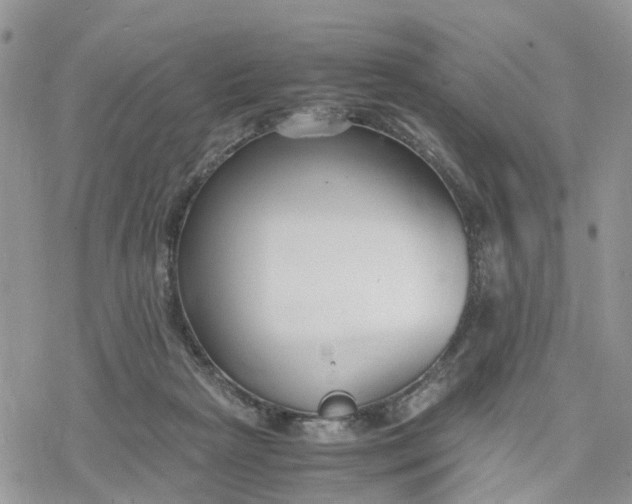 X0000078240265200611171506