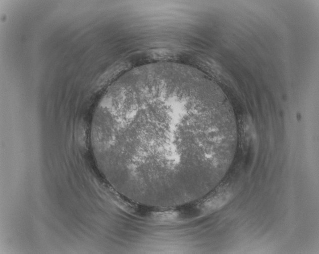 X0000078240266200611171506