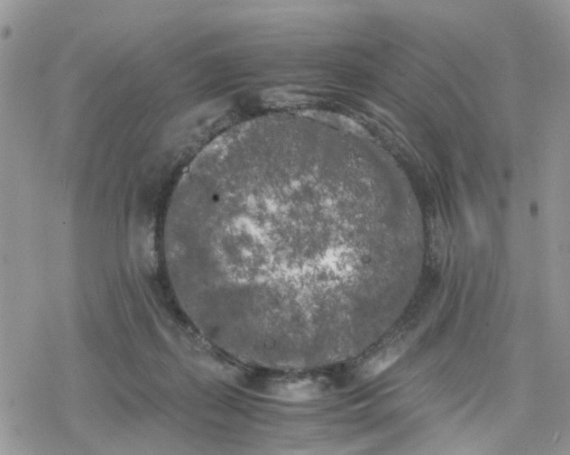 X0000078240267200611171506