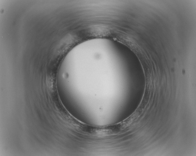 X0000078240268200611171506