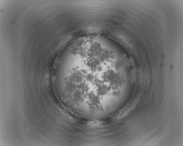 X0000078240269200611171506